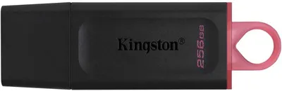 USB-флеш-накопитель Kingston DataTraveler Exodia DTX/256GB, 256 ГБ, USB 3.2 Gen 1