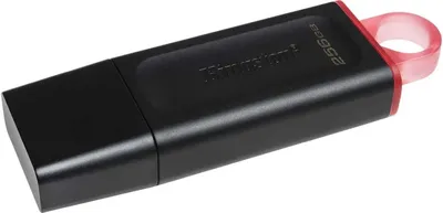 USB-флешка Kingston DTX/256GB, 256ГБ USB 3.2 Gen1