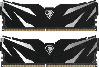 Модуль памяти Netac NTSWD4P32DP-16K, DDR4, 2×8ГБ, 3200МГц, CL16