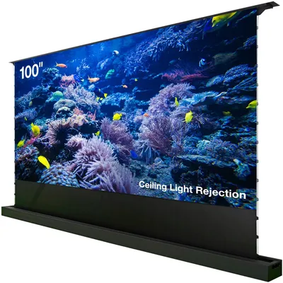 Экран проекционный Cactus CS-PSFRCLR-221X125, напольный, 16:9, 100", Fresnel ALR, мотор