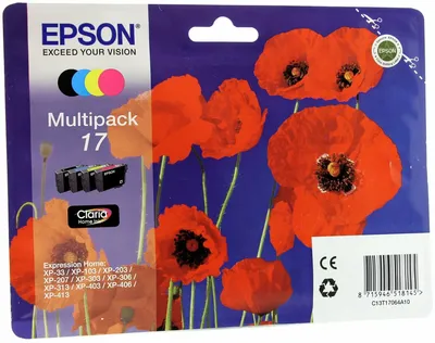 Картридж Epson 17XL C13T17164A10, мультипак B/Y/C/M, 4 шт.