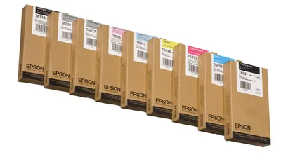 Картридж струйный Epson C13T603700, серый, 220 мл, для Stylus Pro 7880/9880