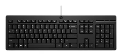 Клавиатура HP 125 (266C9A6#B15), проводная USB, полноразмерная, чёрная