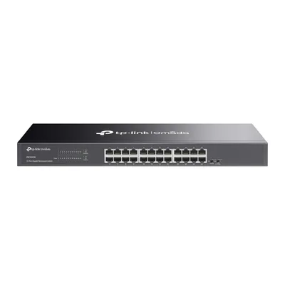 TP-Link DS1024G