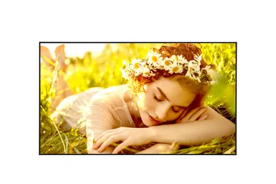 Дисплей LG 55UL5Q-M, 55" UHD, 500 кд/м², 24/7, webOS 6.1