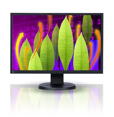 Монитор EIZO FlexScan EV2216WFS-BK, 22", 1680×1050, 16:10, чёрный