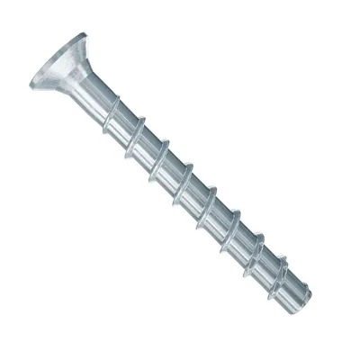 Fischer FBS 6х100 потайная гол. (упак. 100шт) (546386)
