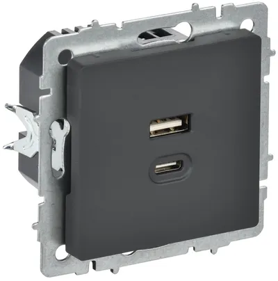 Розетка USB IEK BRITE BR-U22-045-K53, USB A+C 45 Вт, 2 поста, IP20, графит