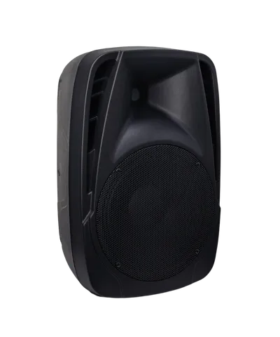 Комплект акустики Axelvox AX-300X LoudStage XIVA PA10, 2×150 Вт RMS, 10" НЧ + 1" ВЧ