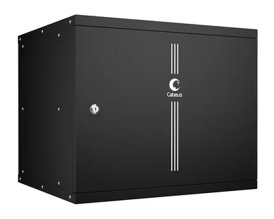 Шкаф телекоммуникационный настенный Cabeus WSC-05D-9U55/45m-BK, 9U, 19", чёрный