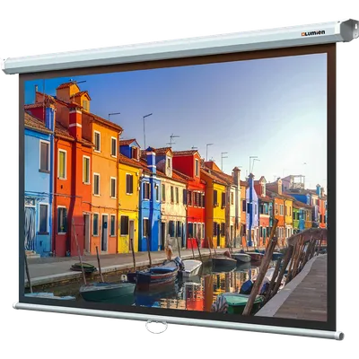 Экран проекционный Lumien Eco Picture LEP-100111, 120x160см, 4:3