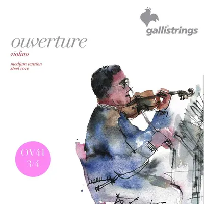 Комплект струн GALLI STRINGS OV41, скрипка 3/4