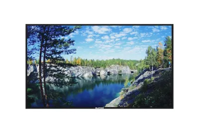 Профессиональный дисплей Lumien LS4350SD, 43", 4K 3840×2160, 500 кд/м², 24/7, Android 11