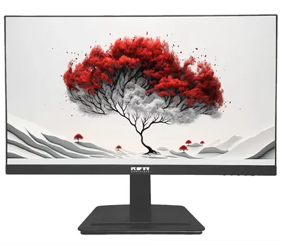 Монитор RDW 2401K/F05B3120V2A1B, 23.8", IPS, 1920x1080, 120Гц, 4мс