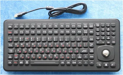 Клавиатура KEY TECHNOLOGY K-TEK-M379-OTB-KP-FN-SS-IL-US/RU-USB, IP65, трекбол, USB