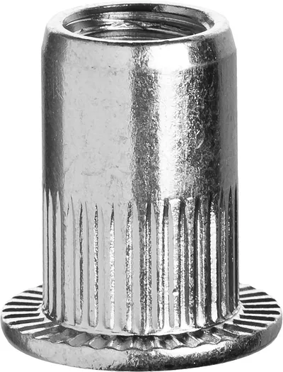 Заклепка резьбовая ЗУБР 31318-10, М10, стальная, 6 шт