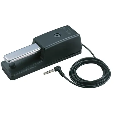 Педаль сустейна Roland DP-10 для клавишных, 2 режима, кабель 2,2 м, разъём 1/4 TS Jack