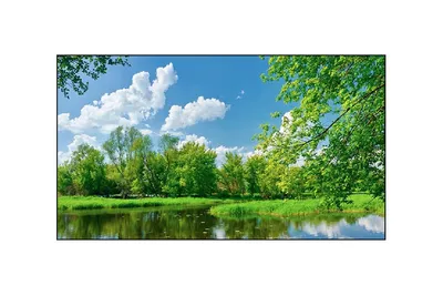 Дисплей для видеостен Lumien LMW5518LL, 55", 1920x1080, 500кд/м², стык 1.8мм