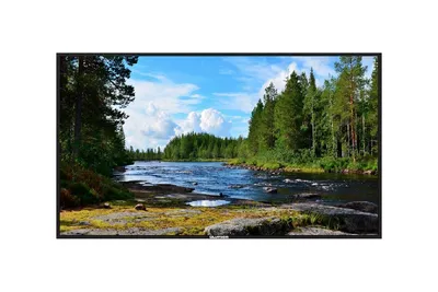 Профессиональный дисплей Lumien LB4335SD серии Basic, 43", 3840х2160, 1200:1, 350кд/м2, Android 8.0, 24/7, альбомная/пор