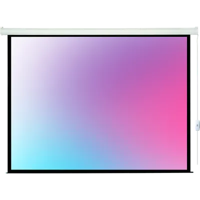 Экран с электроприводом Lumien LEC-100112, 132", 198×300см, Matte White