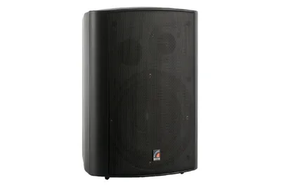 Акустическая система ROXTON MS-40TB, 40Вт, 70/100В, черный