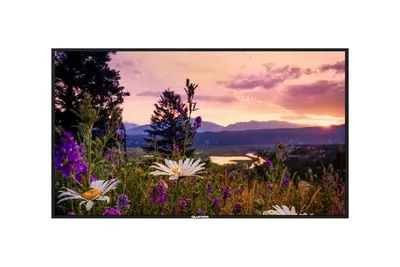Профессиональный дисплей Lumien LB6540SD серии Basic, 65", 3840х2160, 1200:1, 400кд/м2, Android 8.0, 24/7, альбомная/пор