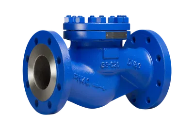 Обратный клапан ADL RD50-032, DN32, PN40, фланцевый, сталь