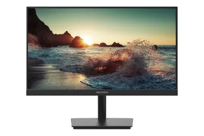 Монитор Hikvision DS-D5022F2-1P2, 21,5", IPS, 1920x1080, 100 Гц, HDMI, VGA