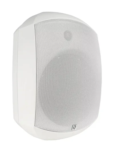 Акустическая система INTREND ITSPK-MSK8-W, 8"+1.5", 100 Вт, IP66