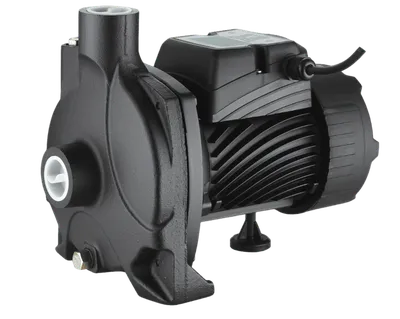 Насос самовсасывающий Pumpman TCP200-SS, 1500 Вт, Hmax 43 м, Qmax 9,5 м³/ч
