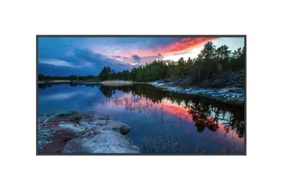 Профессиональный дисплей Lumien LS3240SDUHD серии Standard 32", 1920х1080, 1200:1, 400кд/м2, Android 7.1, 24/7, альбомна