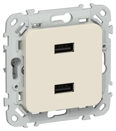 Розетка IEK FLITE РЮ-2-ФлСл, USB A+A 2,1 А, скрытая, сливочный