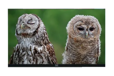 Светодиодный экран Hisense 108" HAIO108DE 600 nit, FHD, Pitch 1,25 mm COB, RAM 3GB, ROM 64GB, Android 9.0, FLY CASE+WALL