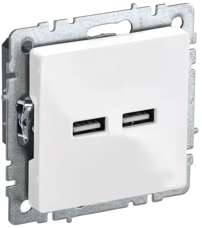 Розетка IEK BR-U21-D31-K01 BRITE USB A+A 3.1А, РЮ10-1-БрБ, белая