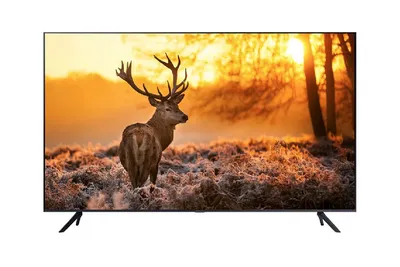 Телевизор коммерческий Samsung BE75C-H, 4K, 250кд/м², Tizen 7.0