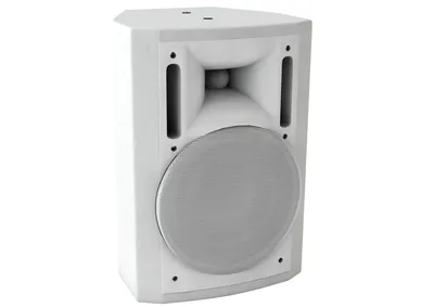 Громкоговоритель Sonar SWM-30W, настенный, 30 Вт, 100 В, белый