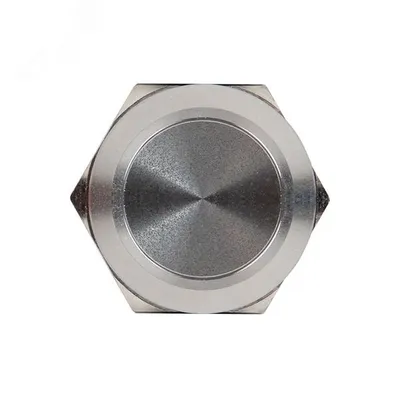 Кнопка S-Pro67 19 мм без фикс. без подсв. EKF PROxima (s-pro67-100)