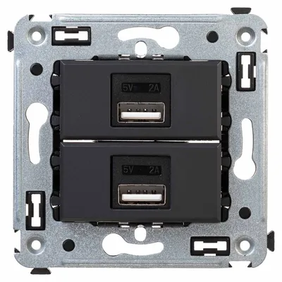 USB зарядное устройство DKC 4412543, 2.1А, встраиваемое