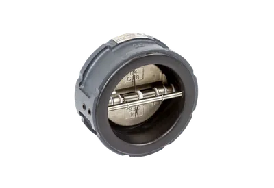Затвор обратный Ридан ЗОД 082X4051R, DN65, PN16, межфланцевый, чугун