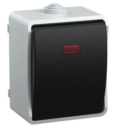 Выключатель IEK EVS11-K03-10-54-DC FORS, 1-клавишный, 10 А, IP54, серый