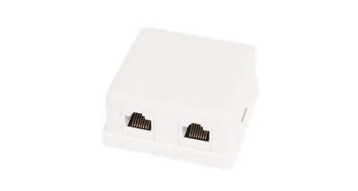 Розетка NETLAN EC-UWO-2-UD2-WT-10, настенная, 2×RJ45, Cat.5e, неэкранированная
