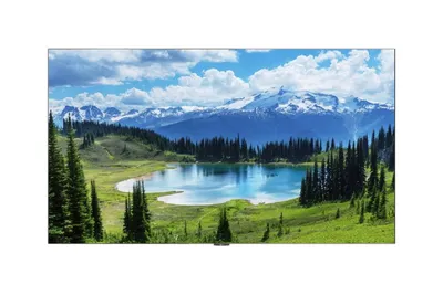 Светодиодный экран LG LAEC018-GN2, 163" Full HD, шаг 1,88 мм, WebOS