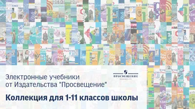 Коллекция ЭФУ Просвещение 643404, 1-11 классы, без ограничения пользователей
