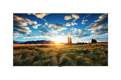Светодиодный экран LG LAEC015-GN2, 136", Full HD, шаг 1,56 мм, webOS