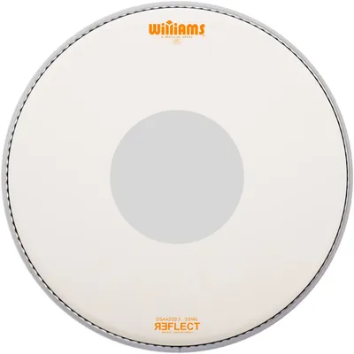 Пластик WILLIAMS DSAA2D23-23MIL-13k, двухслойный, 13"