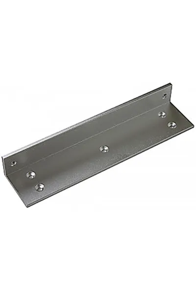 Считыватель AccordTec LM-350AWS