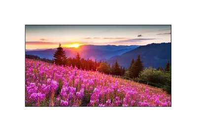 Дисплей для видеостен Lumien LMW4618LL, 46", 1920×1080, 1.8мм