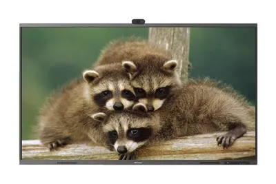 Интерактивная панель Hisense 65MR6DE, 65", 4K, Android 13, ИК-сенсор, 20 касаний