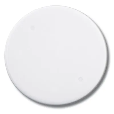 Крышка DKC 59386, для установочной коробки, IP40, d.87мм, Octopus