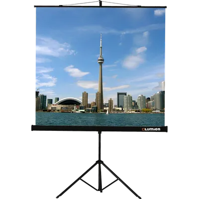 Экран проекционный Lumien Eco View LEV-100103, 111", 1:1, на штативе
